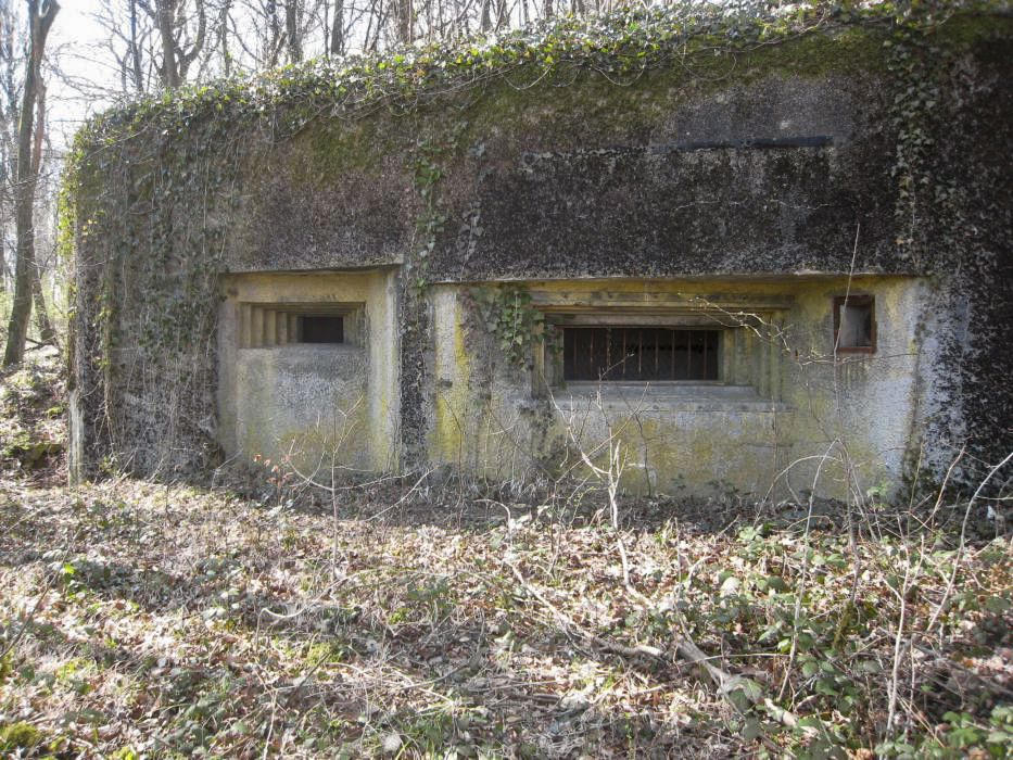 Ligne Maginot - DB30 - BOIS DE TAPPE.. - (Blockhaus pour canon) - 