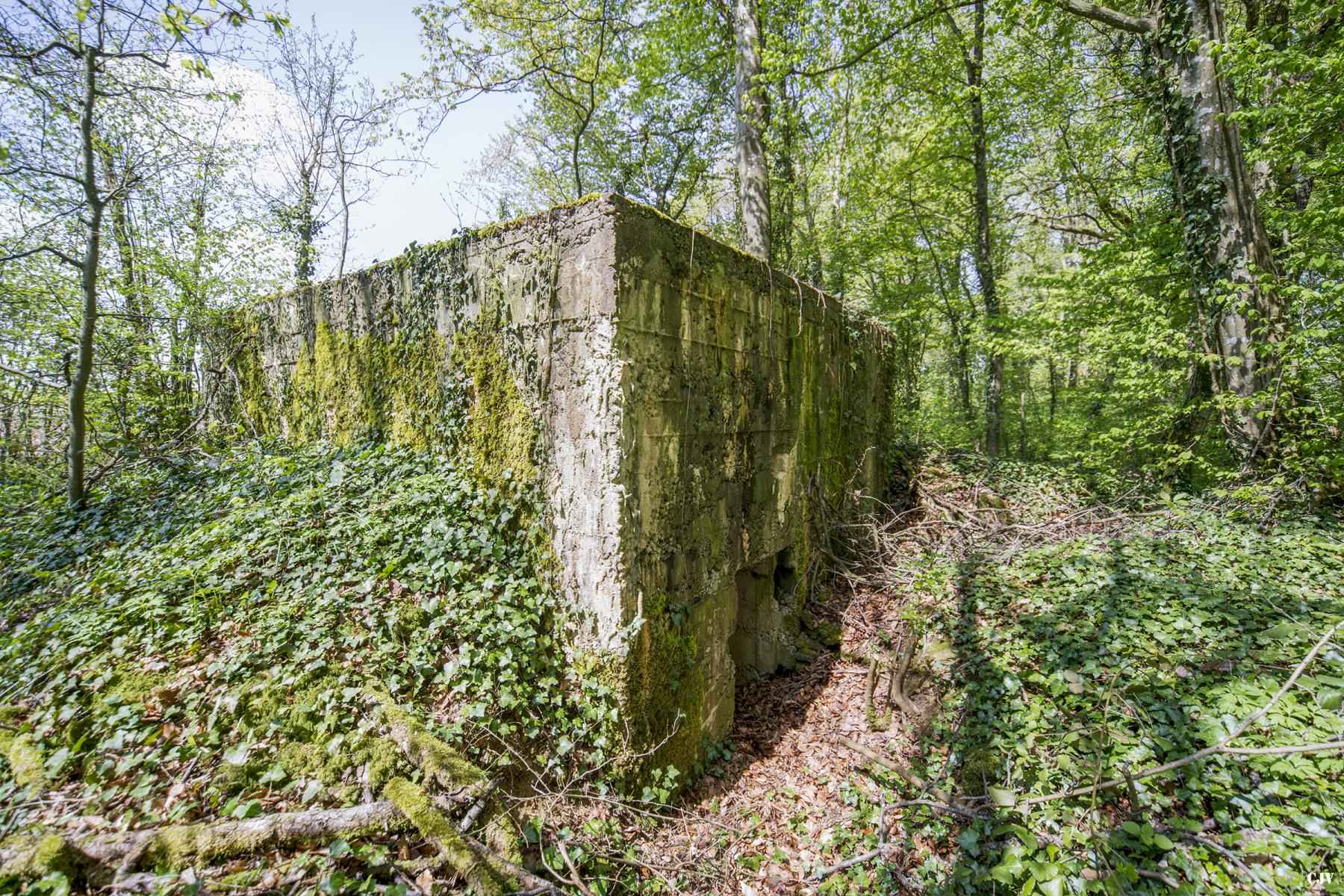 Ligne Maginot - DB316 - BOIS DE BEUVEILLE OUEST 1 - (Blockhaus pour arme infanterie) - 