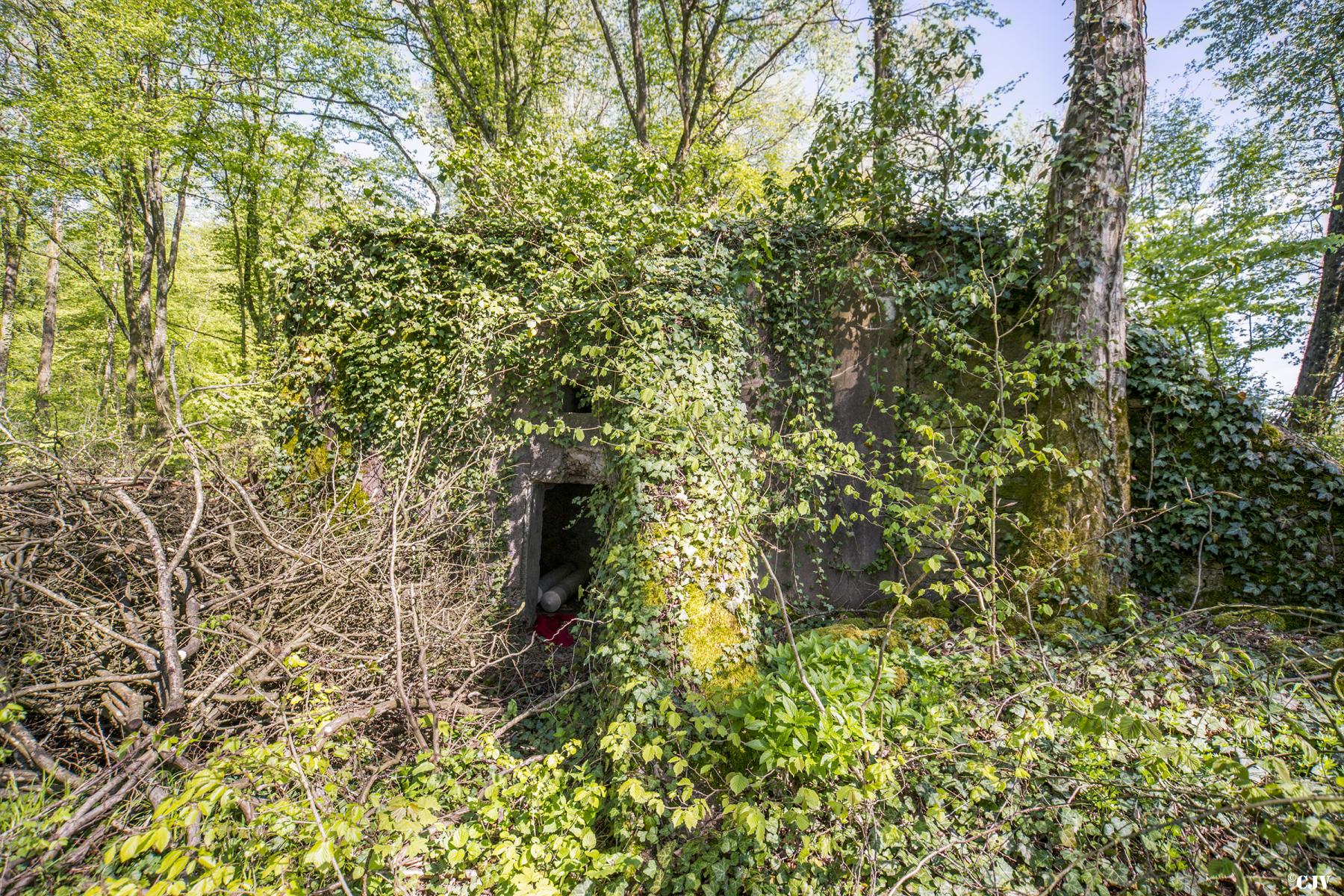 Ligne Maginot - DB329 - BOIS DE LA HEURETTE EST - (Blockhaus pour canon) - L'entrée
