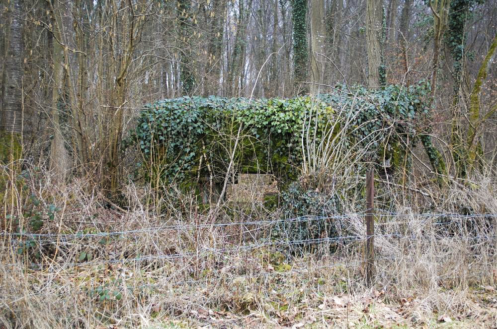 Ligne Maginot - Dbo11 ( Blockhaus pour canon ) - A la sortie de LONGUYON sur la route qui va vers Etain, en bordure de la forêt cet ouvrage est difficilement visible de loin. Là aussi la nature reprend ses droits.