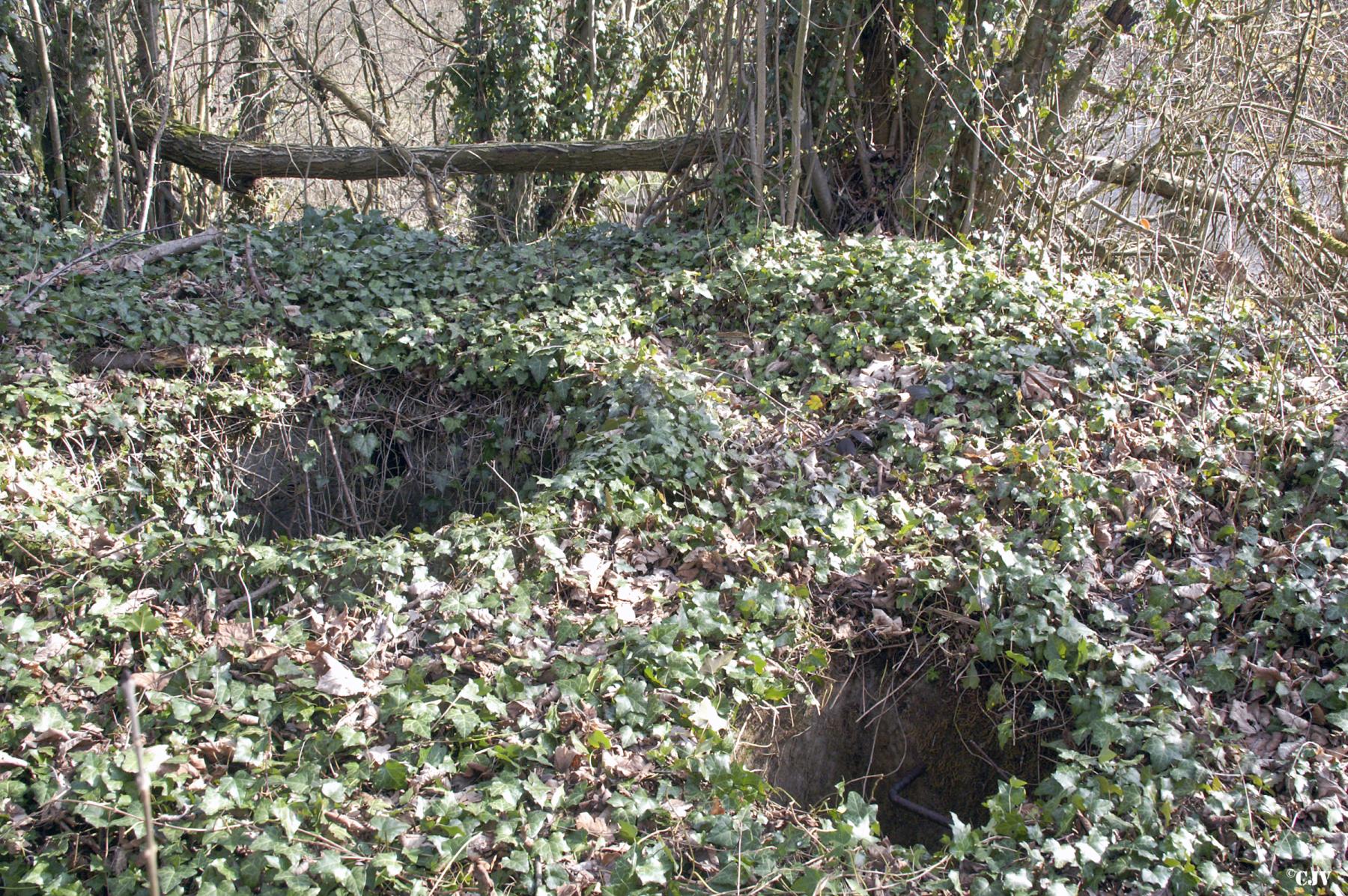 Ligne Maginot - DT34 - RAUER NORD - (Cuve pour arme d'infanterie) - Et quand on va plus haut vers le centre de la butte on découvre deux trous. Un carré avec des barreaux d'échelle scellés dans le mur: un accès à l'ouvrage