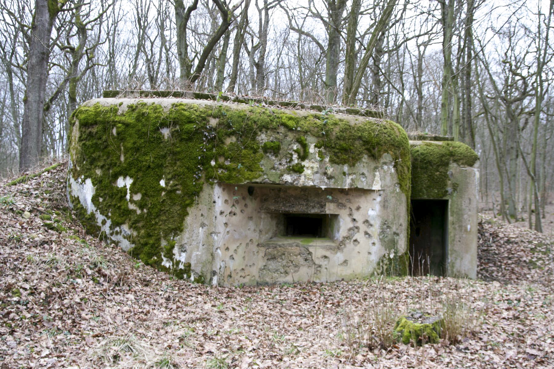 Ligne Maginot - CB9 - ROCKSWINGERT - (Blockhaus pour arme infanterie) - 