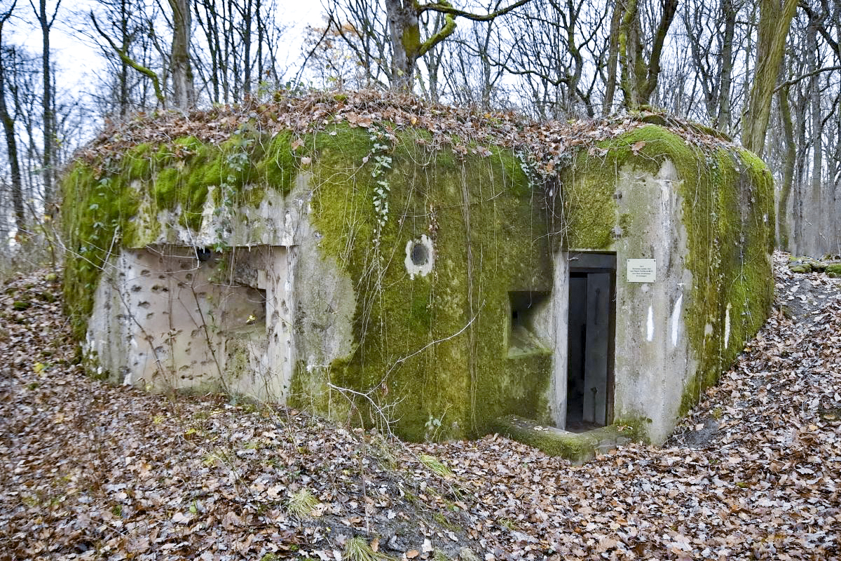 Ligne Maginot - CB9 - ROCKSWINGERT - (Blockhaus pour arme infanterie) - Créneau gauche extérieur et entrée