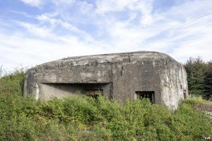 Ligne Maginot - B444 - FOSSE CUVINOT - (Blockhaus pour canon) - 