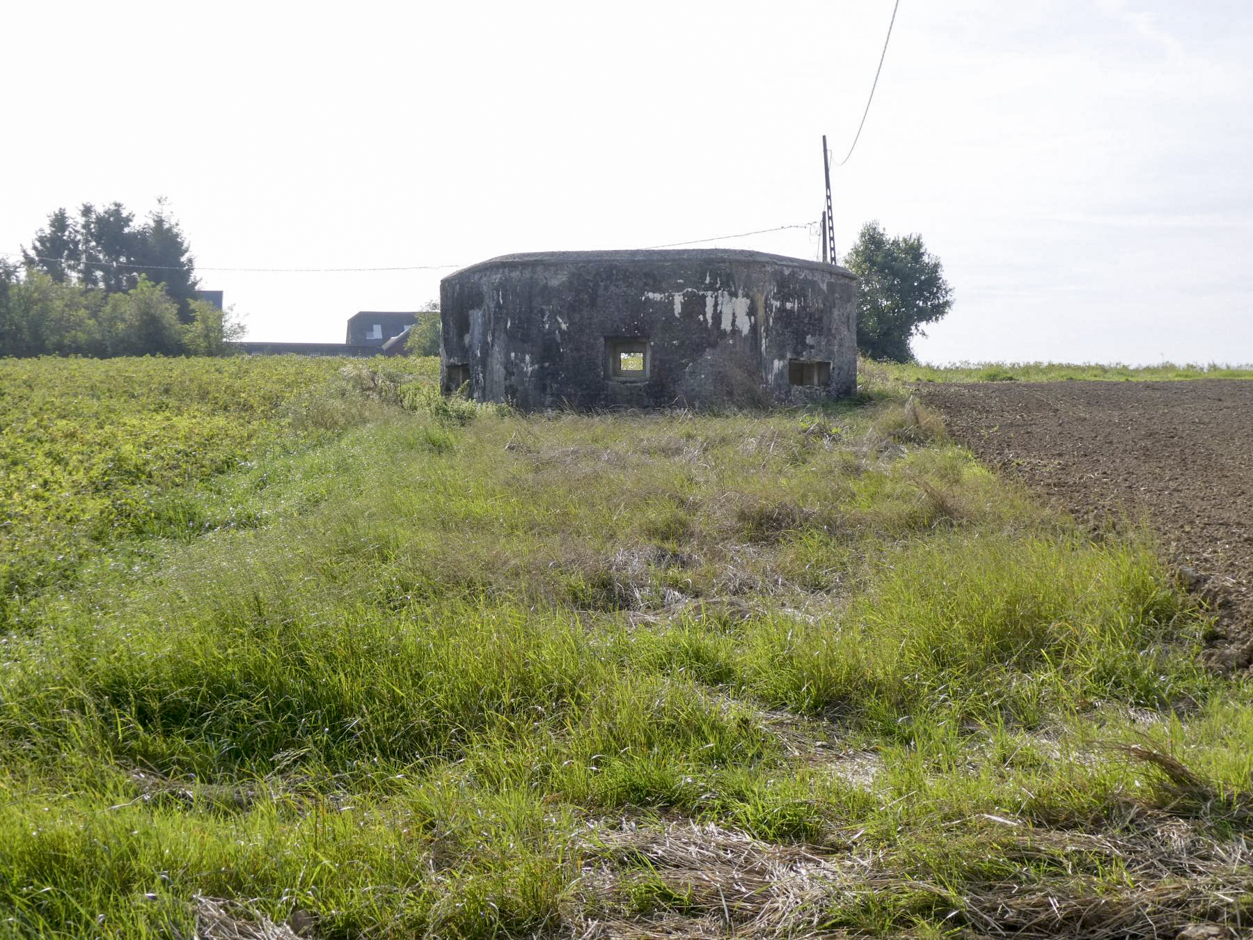 Ligne Maginot - B613 - LA PISSELOTTE - (Blockhaus pour canon) - 