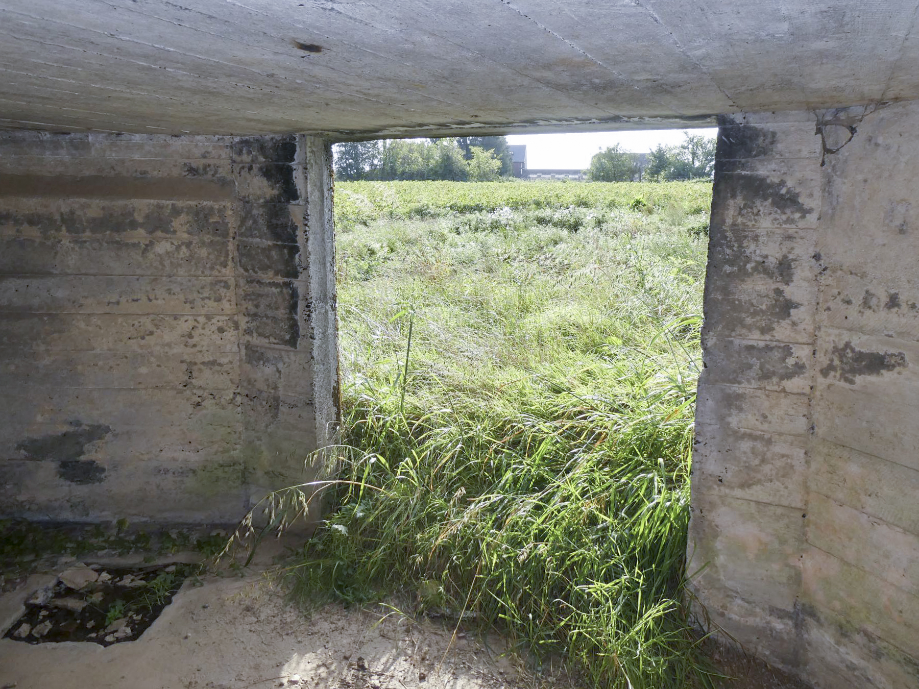 Ligne Maginot - B613 - LA PISSELOTTE - (Blockhaus pour canon) - L'entrée 