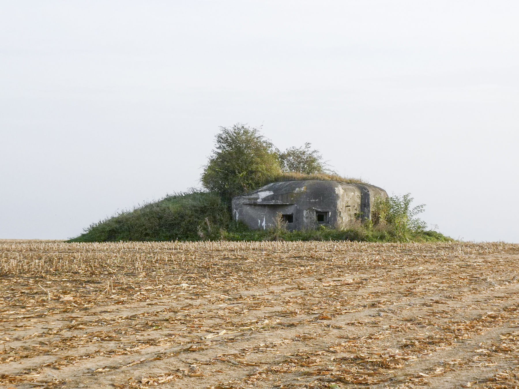 Ligne Maginot - B550 - LA BOETE - (Blockhaus pour canon) - 