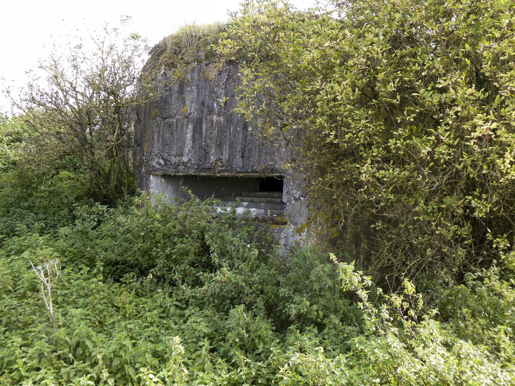 Ligne Maginot - A58 - JENLAIN OUEST - (Blockhaus pour canon) - Créneau d'observation frontal