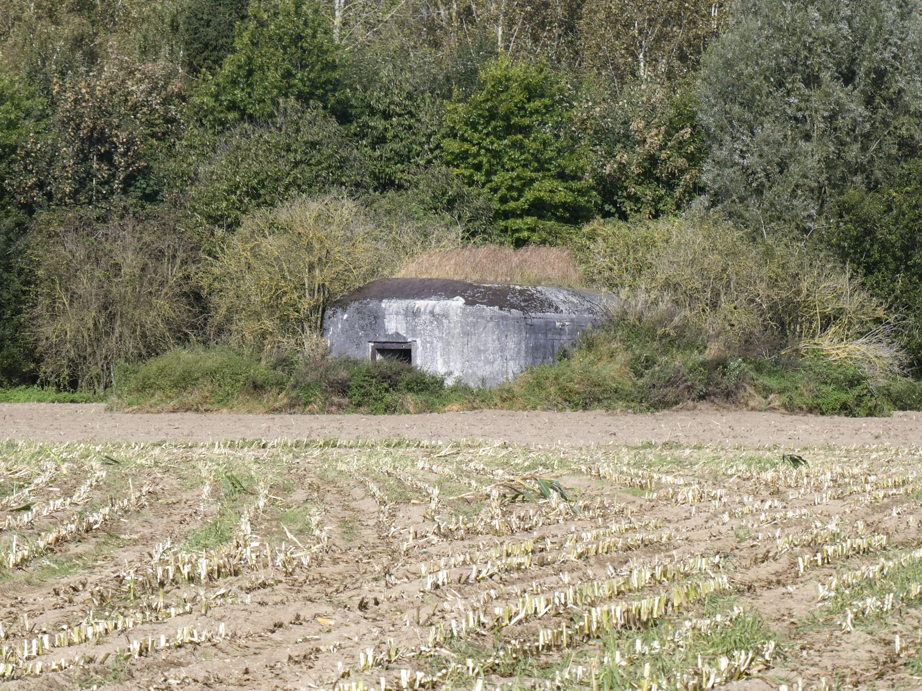Ligne Maginot - B396 - RODIGNIES OUEST - (Blockhaus pour canon) - 
