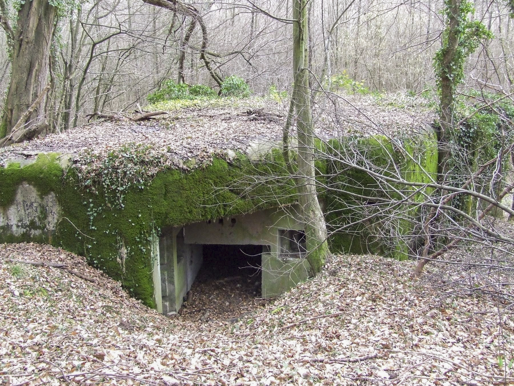 Ligne Maginot - SCHIRRHEINERWEG OUEST - (Casemate d'infanterie - Simple) - La façade arrière avec les entrées.