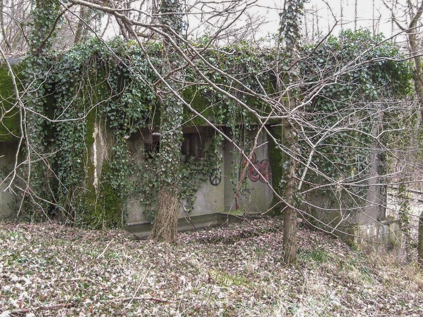 Ligne Maginot - SCHIRRHEINERWEG OUEST - (Casemate d'infanterie - Simple) - La façade de tir vers le sud.