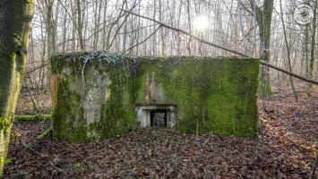 Ligne Maginot - BOCKHOLZ - (Blockhaus pour arme infanterie) -           