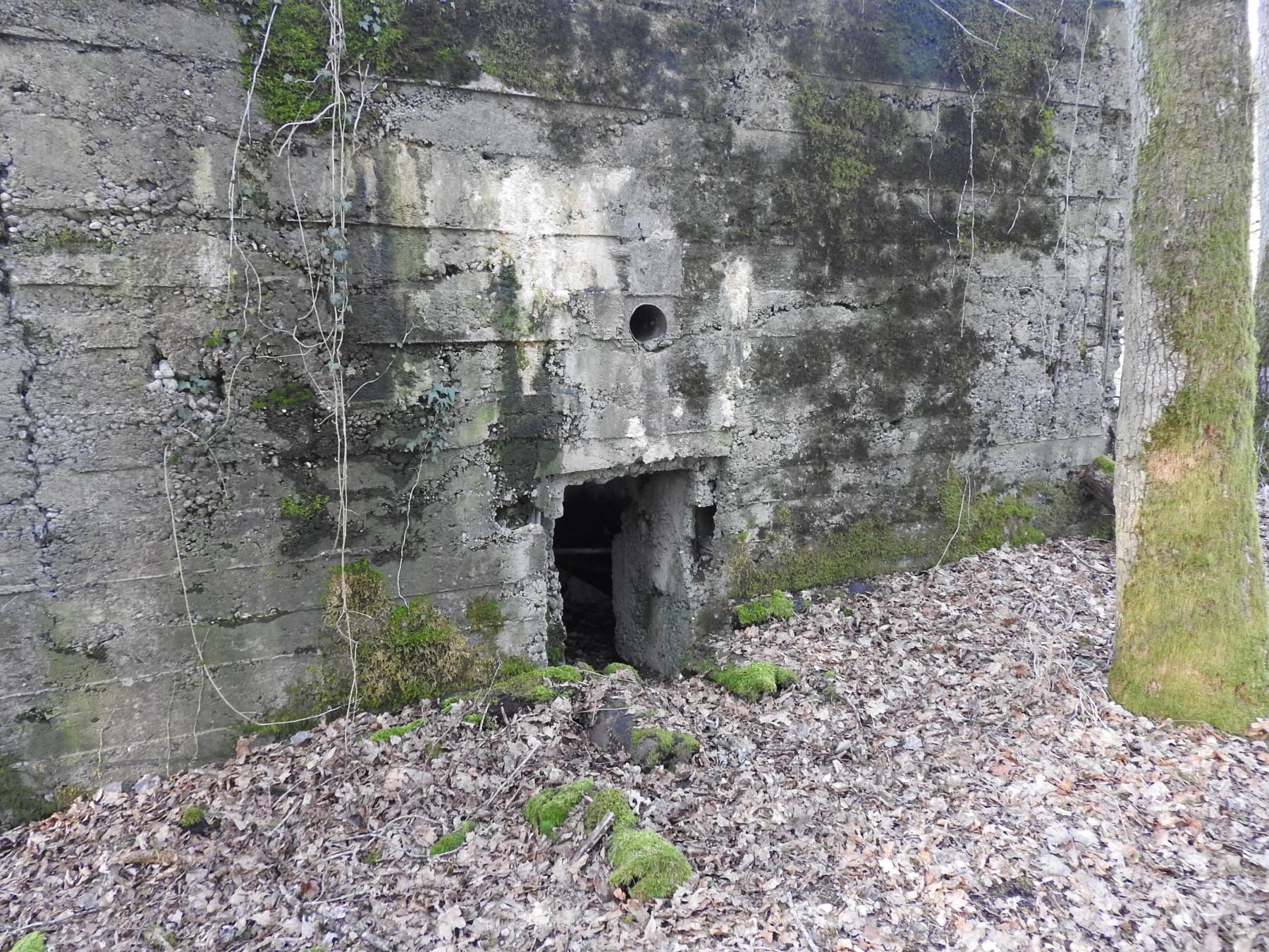 Ligne Maginot - MO-89C - BORNUNGSHOFF 4 - (Blockhaus pour arme infanterie) - L'entrée du blockhaus.