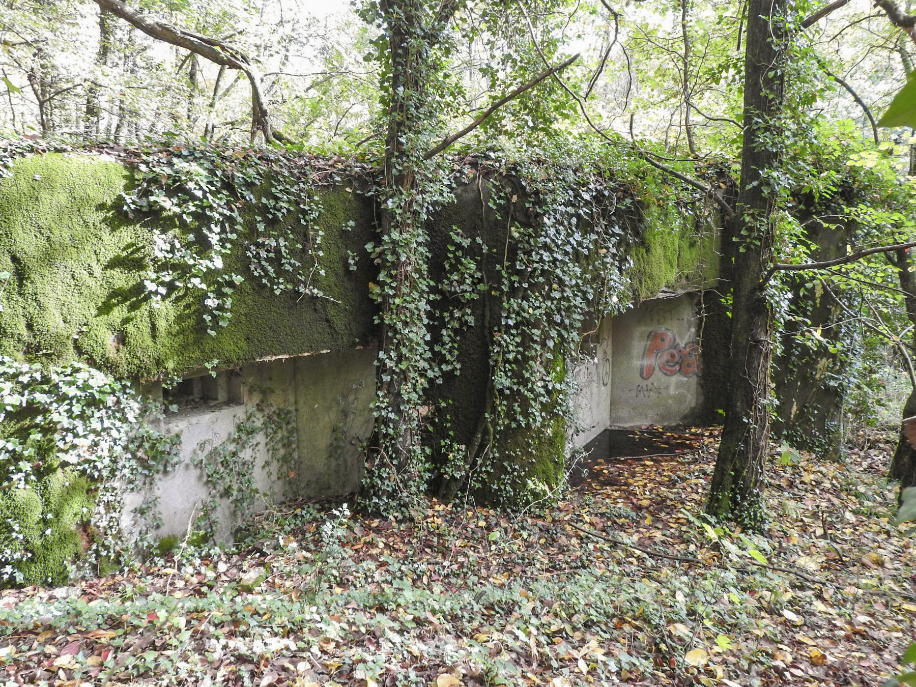 Ligne Maginot - SCHIRRHEINERWEG OUEST - (Casemate d'infanterie - Simple) - La façade de tir vers le Sud.