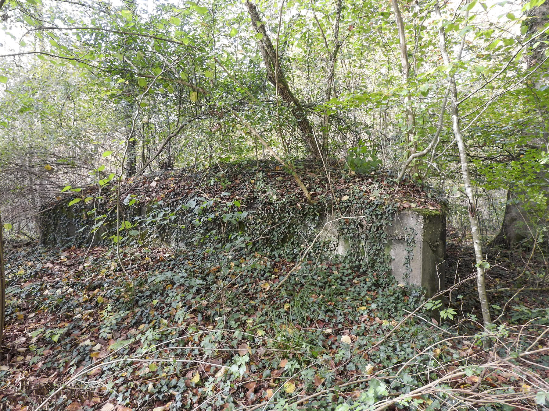 Ligne Maginot - FINNHAAG 1 - (Blockhaus pour canon) - La vue de côté du blockhaus.