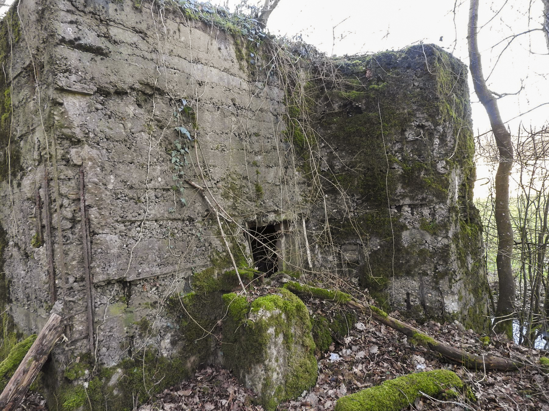 Ligne Maginot - MO-89C - BORNUNGSHOFF 4 - (Blockhaus pour arme infanterie) - La façade de tir.