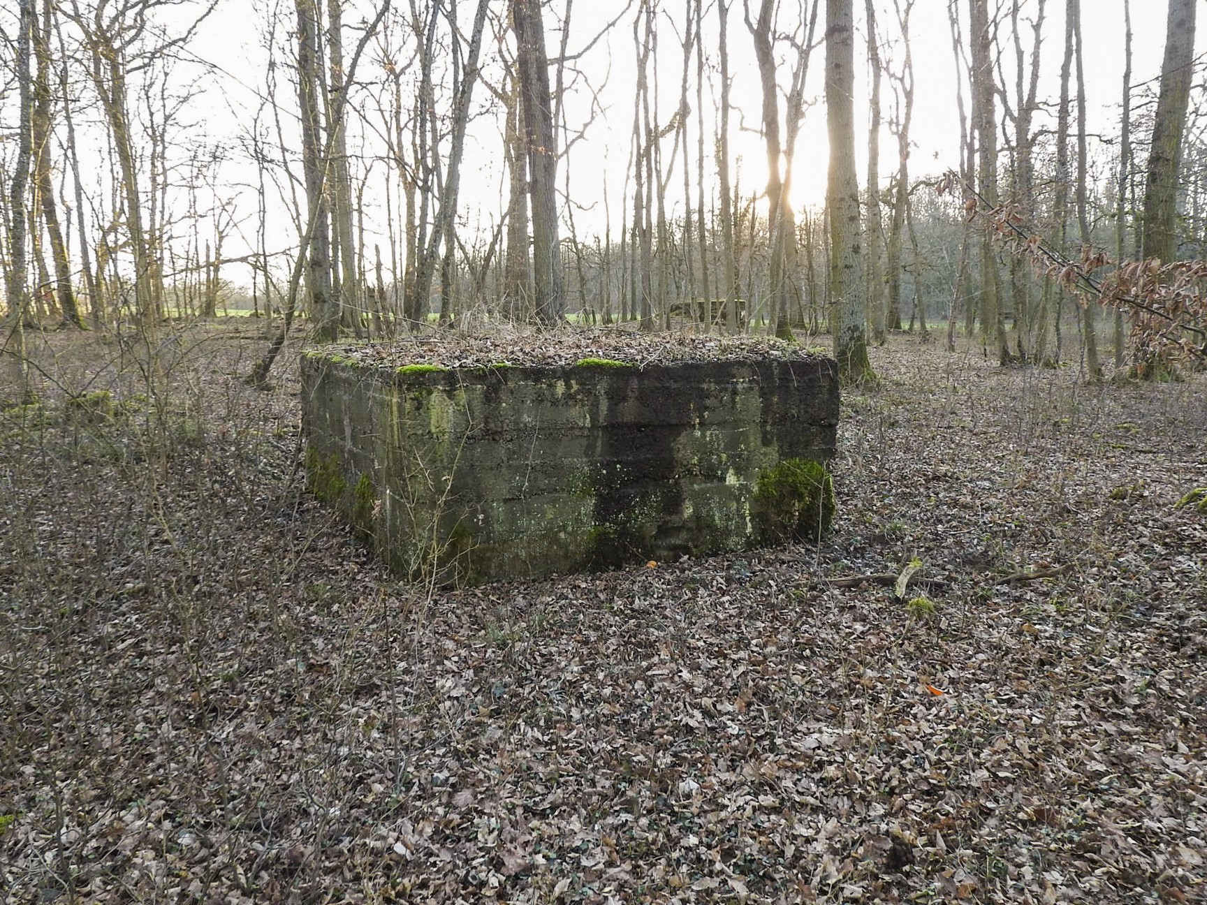 Ligne Maginot - CB89 - BORNUNGSHOFF 1 - (Blockhaus pour arme infanterie) - Les blockhaus 1 et 2.