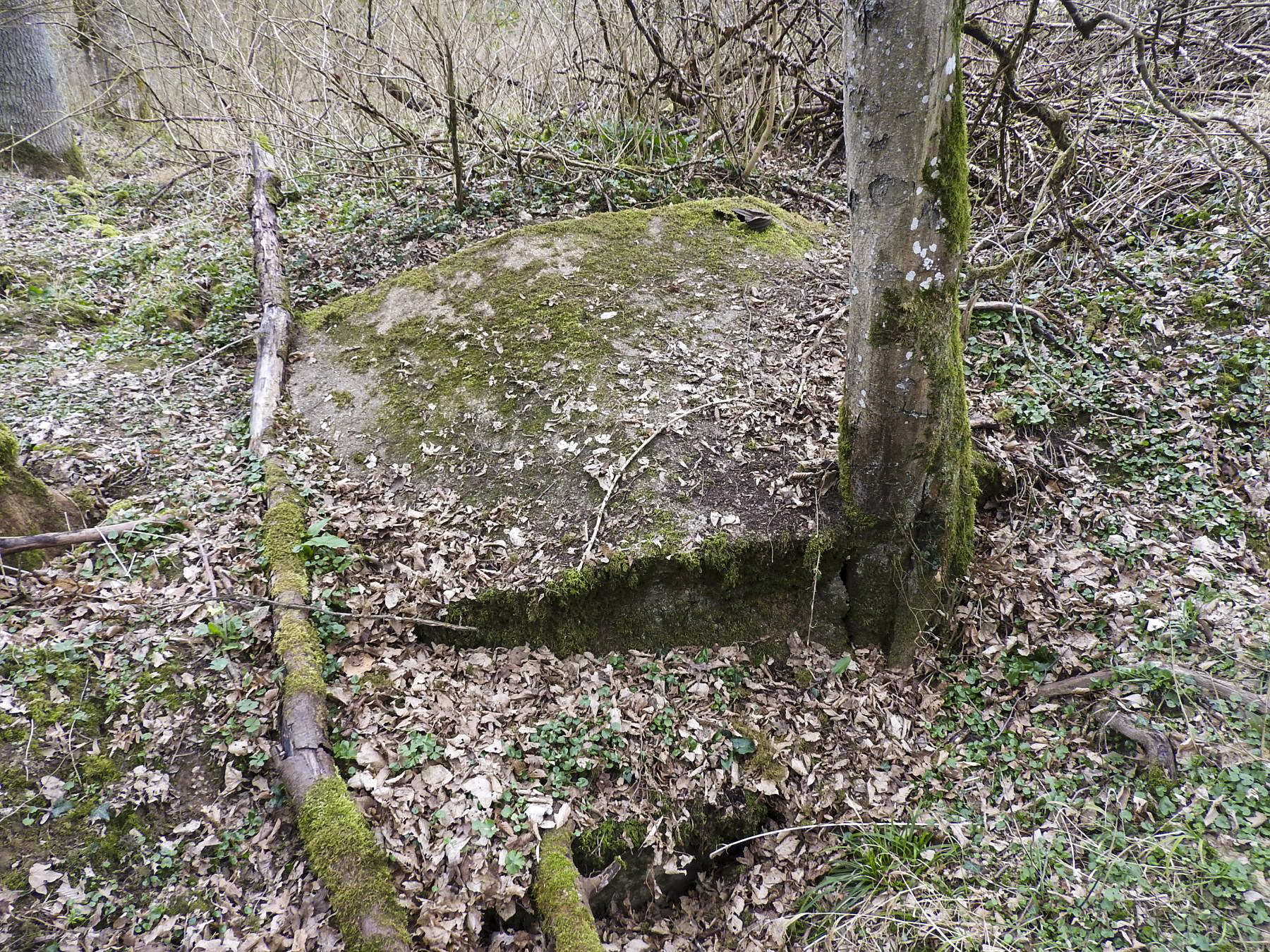 Ligne Maginot - GOEZERT - (Abri) - Les maigres restes visibles.