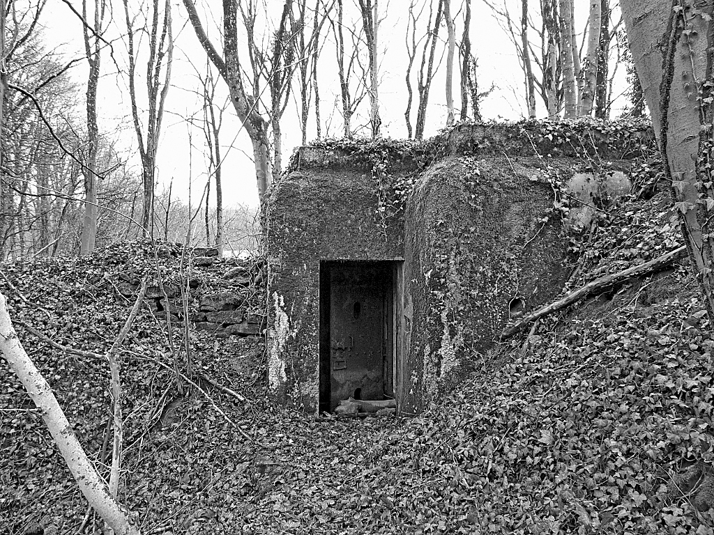 Ligne Maginot - DB16 - (Blockhaus pour arme infanterie) -  