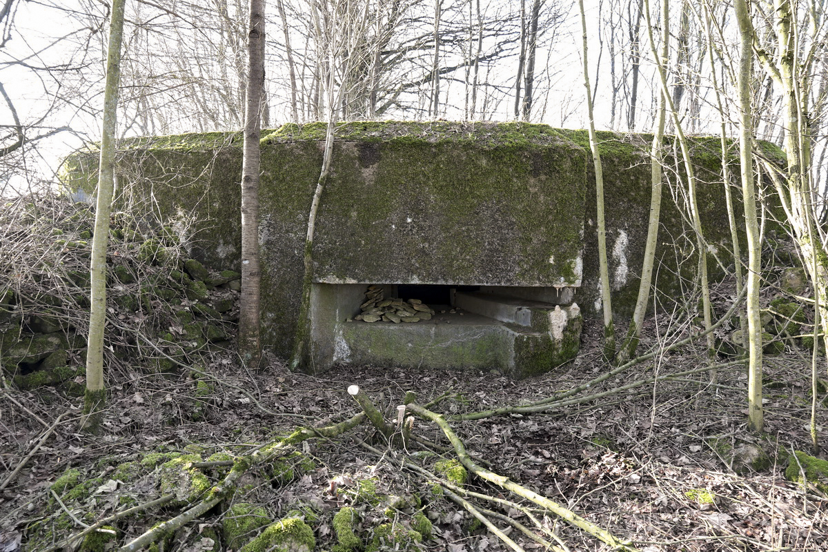Ligne Maginot - DB20 - (Blockhaus pour canon) - Vue frontale