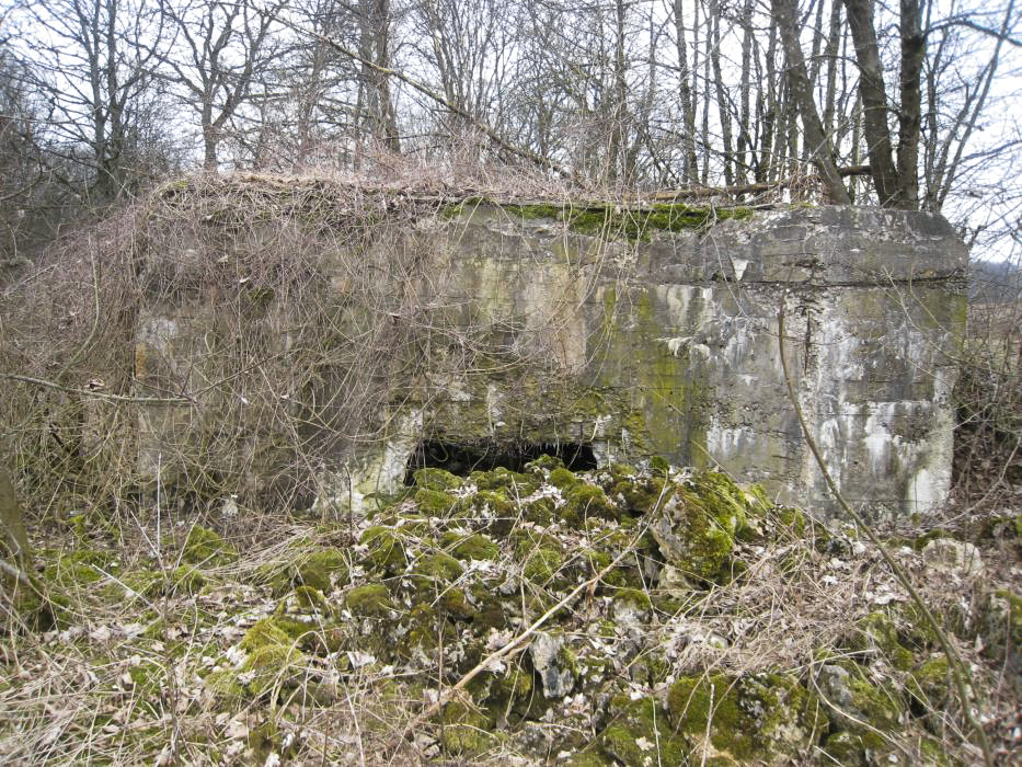 Ligne Maginot - DB207 - (Blockhaus pour canon) - 