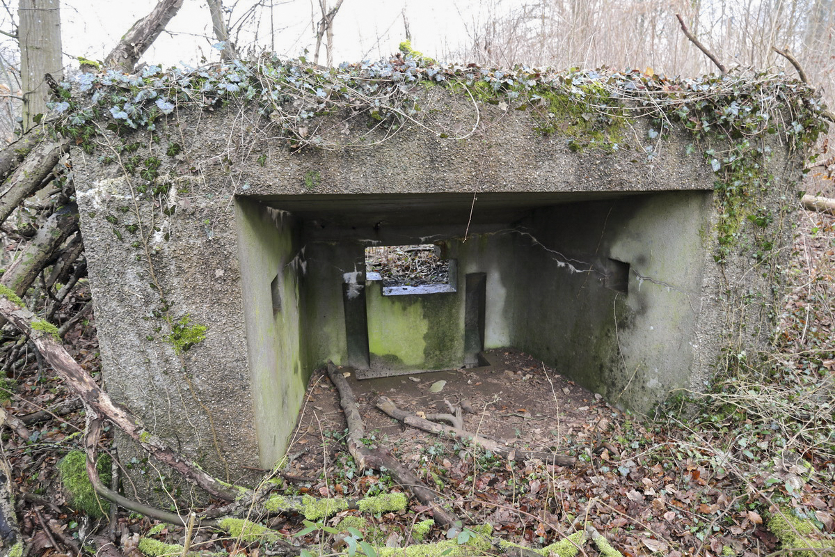 Ligne Maginot - DBO2 - (Blockhaus pour canon) - 