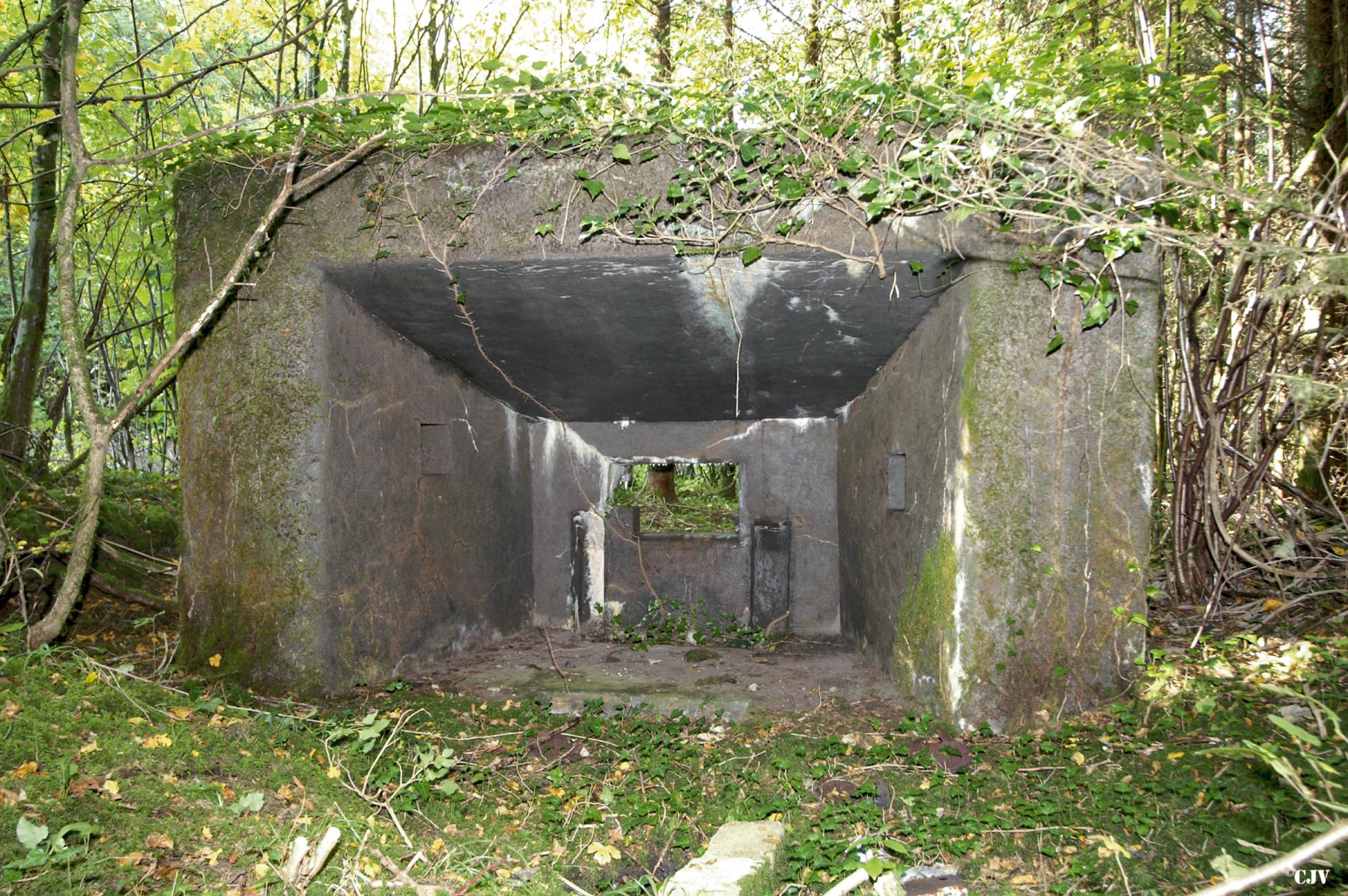 Ligne Maginot - DBO3 - (Blockhaus pour canon) - 