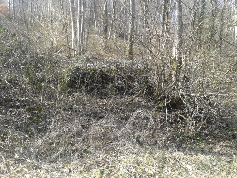 Ligne Maginot - DBO1 - (Blockhaus pour canon) - A peine plus visible a la morte saison le jour du printemps