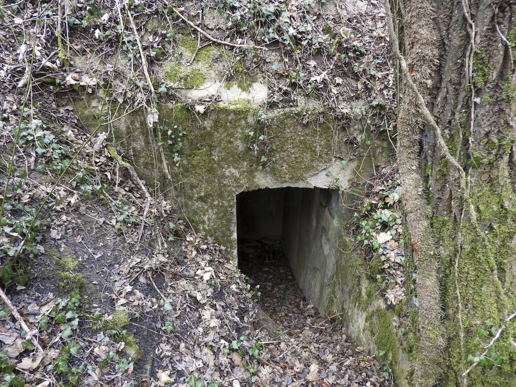 Ligne Maginot - MAISON ROUGE (V° 226° RA) - (PC) - Une des entrées du PC bétonné.