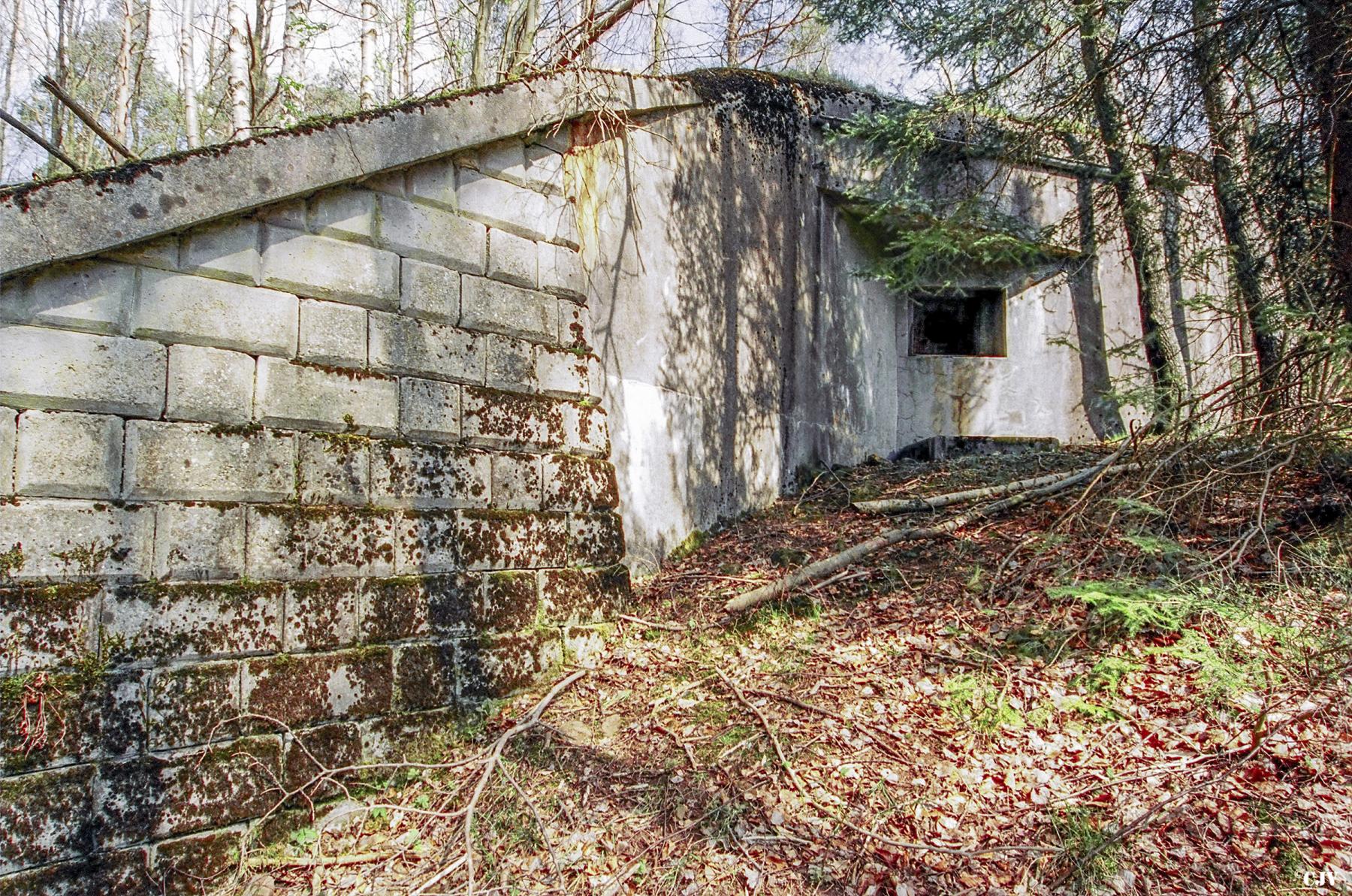 Ligne Maginot - BIESENBERG 3 - (Blockhaus pour arme infanterie) - 