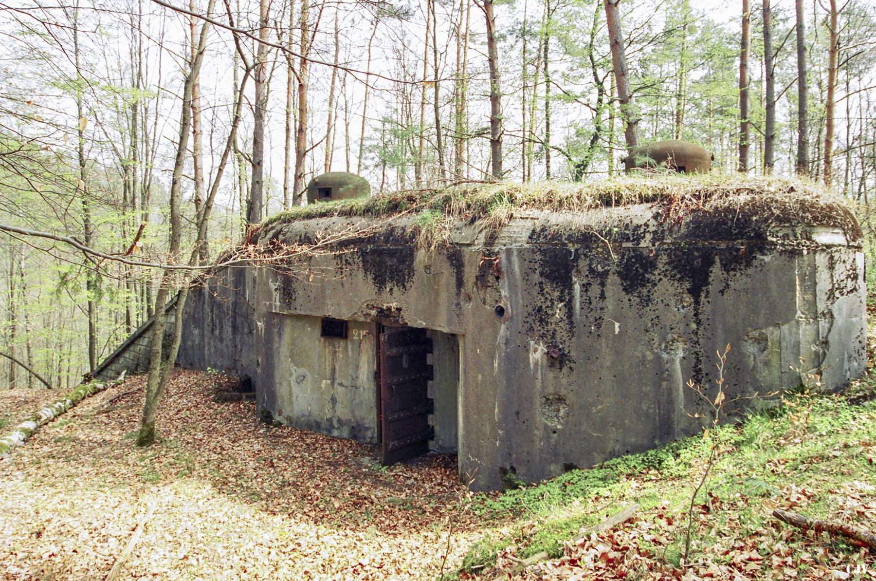 Ligne Maginot - BIESENBERG 6 - (Blockhaus pour arme infanterie) - 