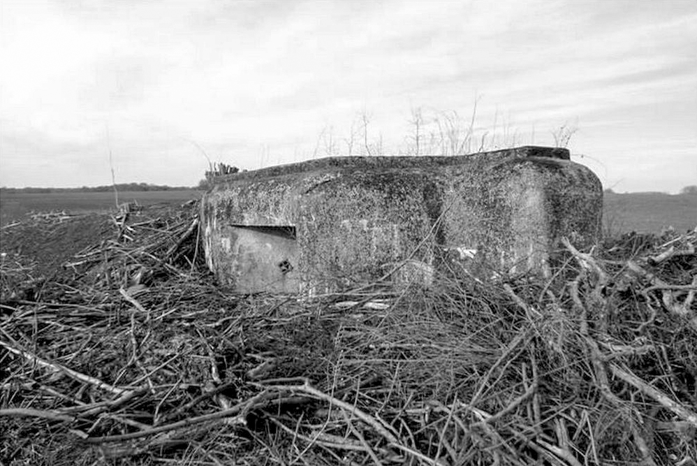 Ligne Maginot - CB14BIS - (Blockhaus pour arme infanterie) - Débroussaillé pour la marche du patrimoine.