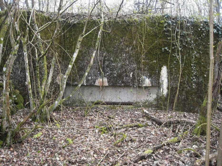 Ligne Maginot - CB330 - GINSKLOPP NORD - (Blockhaus pour canon) - 