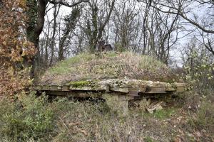 Ligne Maginot - OBERWALD SUD OUEST - (Observatoire d'infanterie) - 