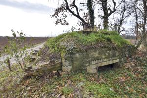 Ligne Maginot - OBERWALD SUD OUEST - (Observatoire d'infanterie) - 