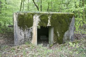 Ligne Maginot - KARPENLOCH - (Blockhaus pour canon) - 
