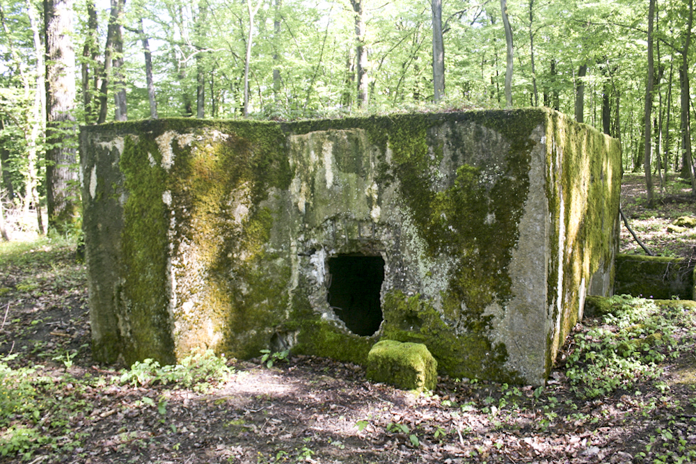Ligne Maginot - KANFENER BUSCH 2 - (Blockhaus pour arme infanterie) - Vue frontale du blockhaus.
L'embrasure a été détruite.