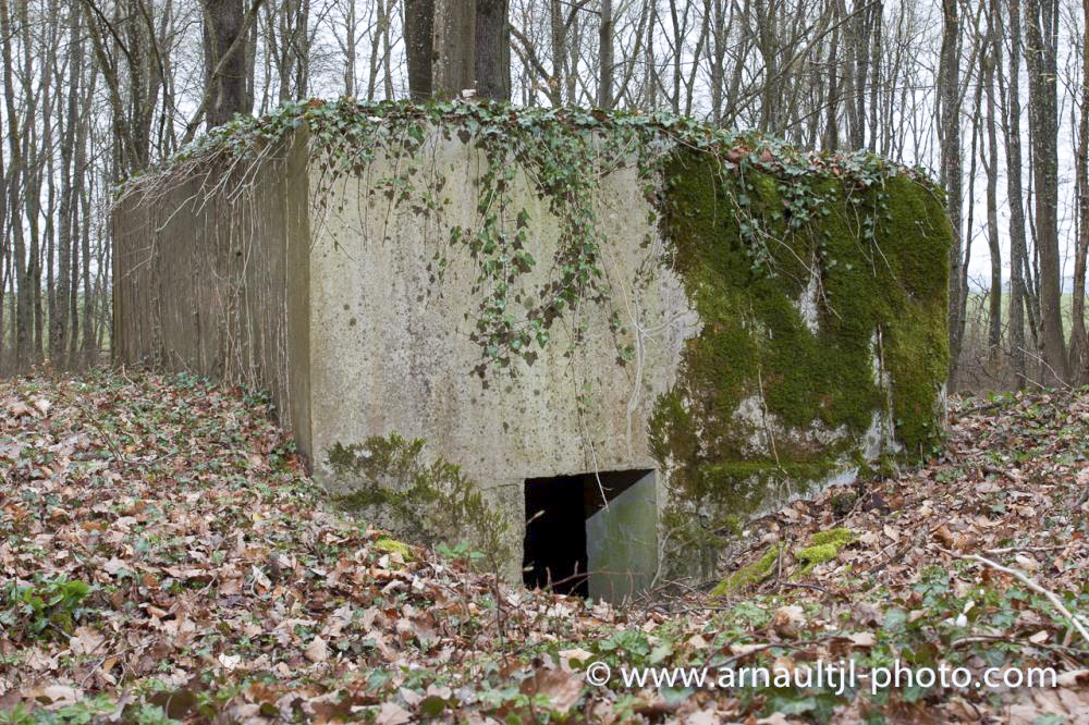 Ligne Maginot - KANFENER BUSCH 5 - (Blockhaus pour arme infanterie) - 