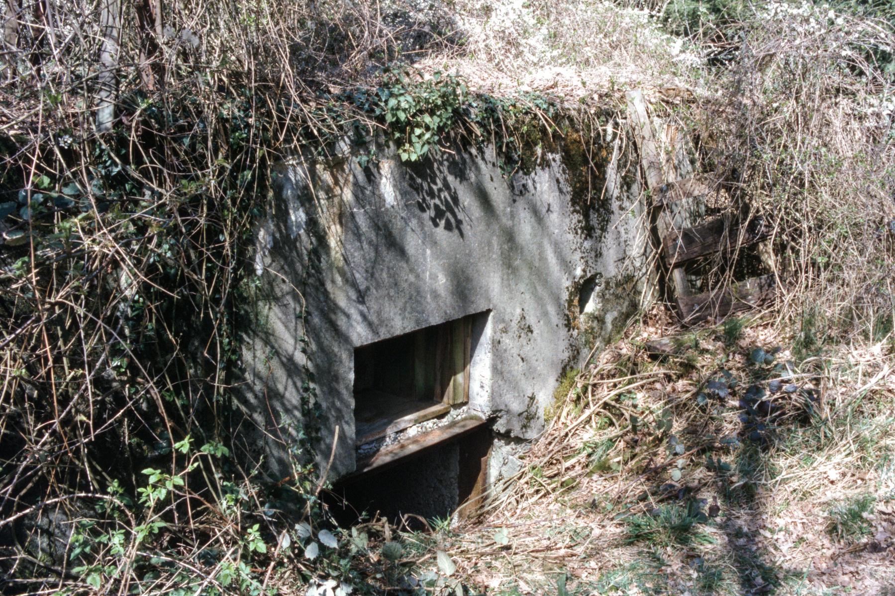 Ligne Maginot - AB359 - BAN SAINT JEAN NORD - (Blockhaus de type indéterminé) - L'entrée