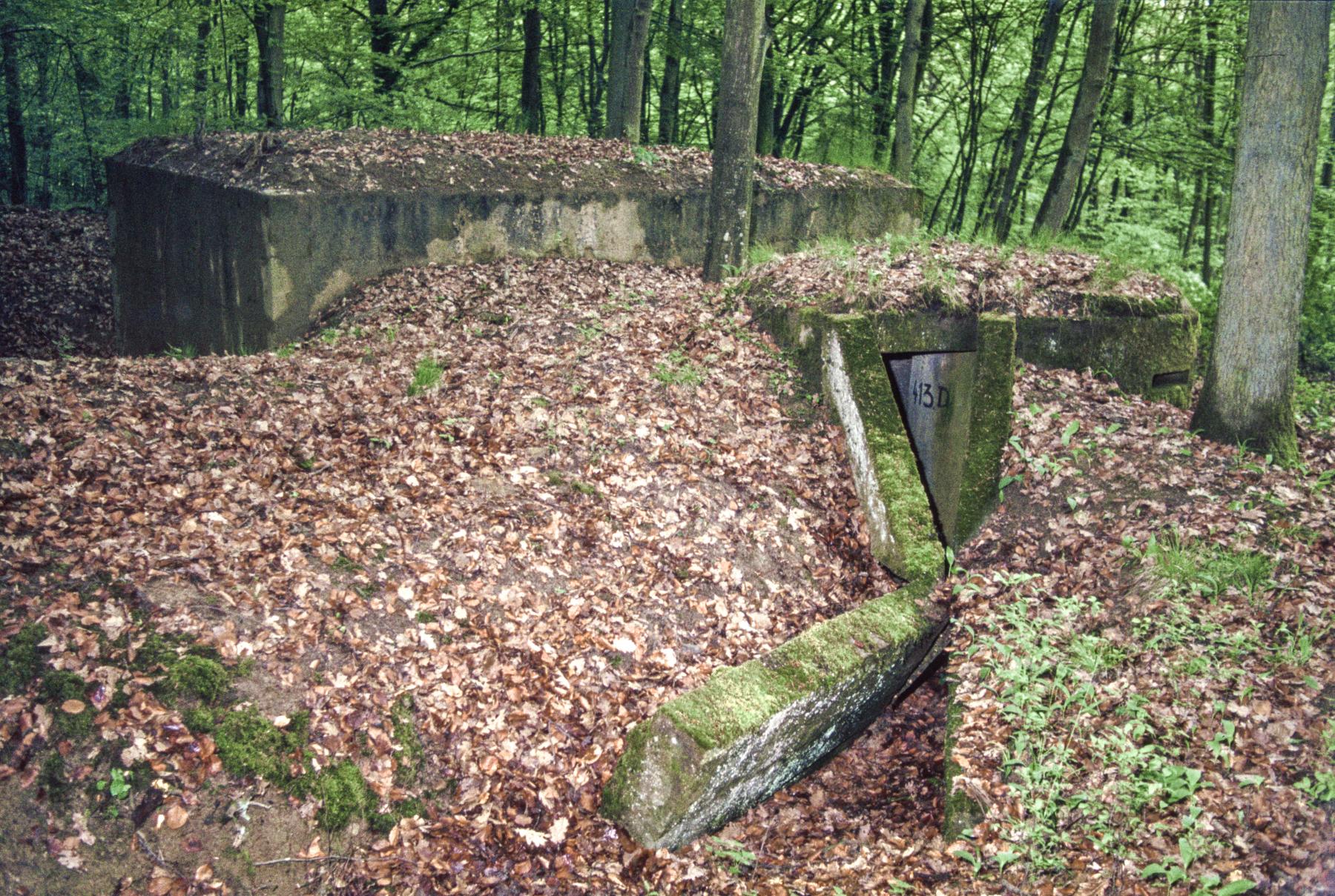 Ligne Maginot - DALEMERBUSCH - 115C - (Observatoire d'artillerie) - 
