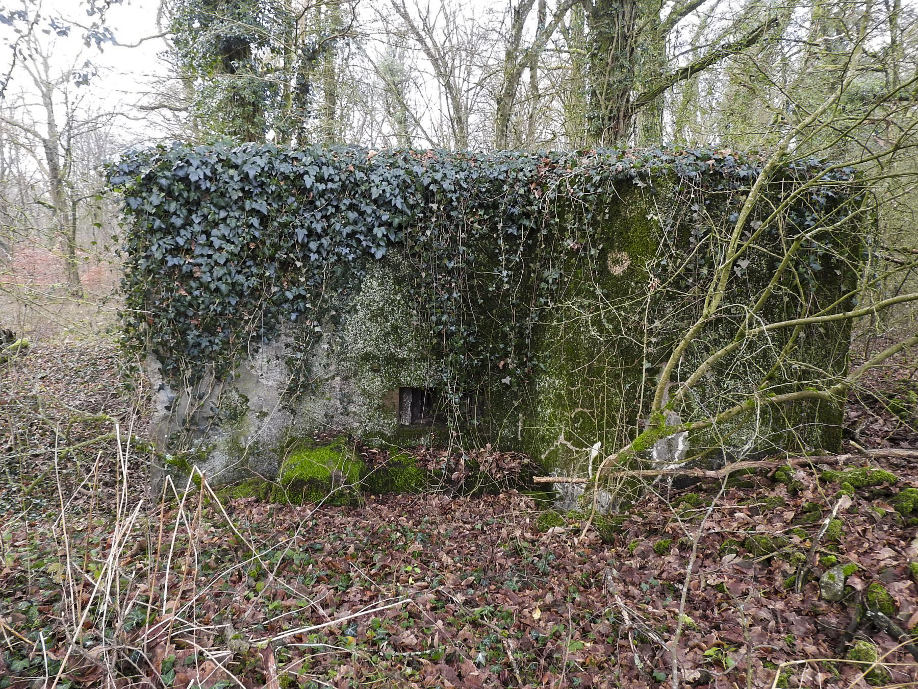 Ligne Maginot - BB21-D - GRESSES WALD - (Blockhaus pour arme infanterie) - La façade de tir.