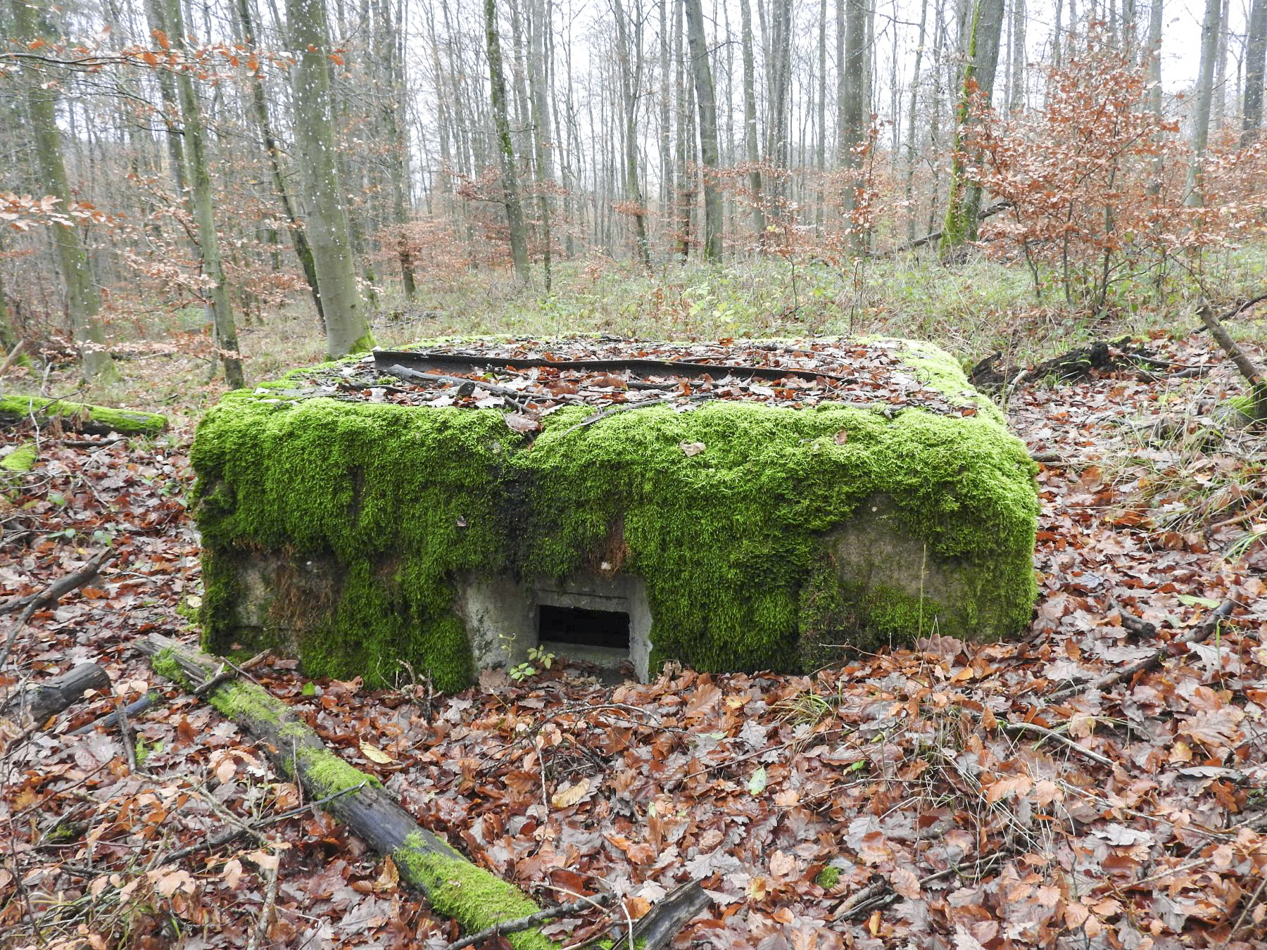 Ligne Maginot - LEGERET EST - (Blockhaus pour arme infanterie) - Le créneau frontal.