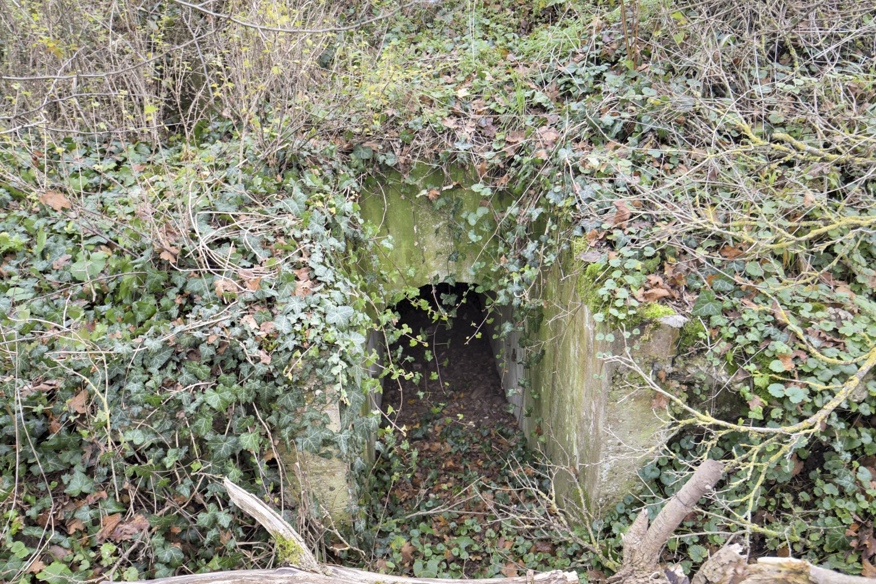 Ligne Maginot - OBERWALD SUD EST - (Blockhaus pour arme infanterie) - 