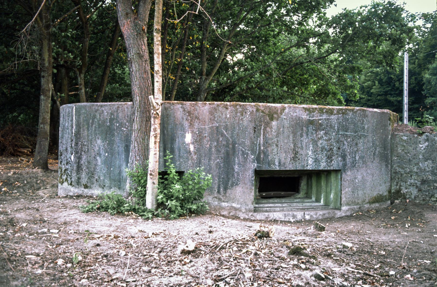 Ligne Maginot - ROUTE DE CARLING  (AVANT POSTE) - (Blockhaus pour arme infanterie) - 