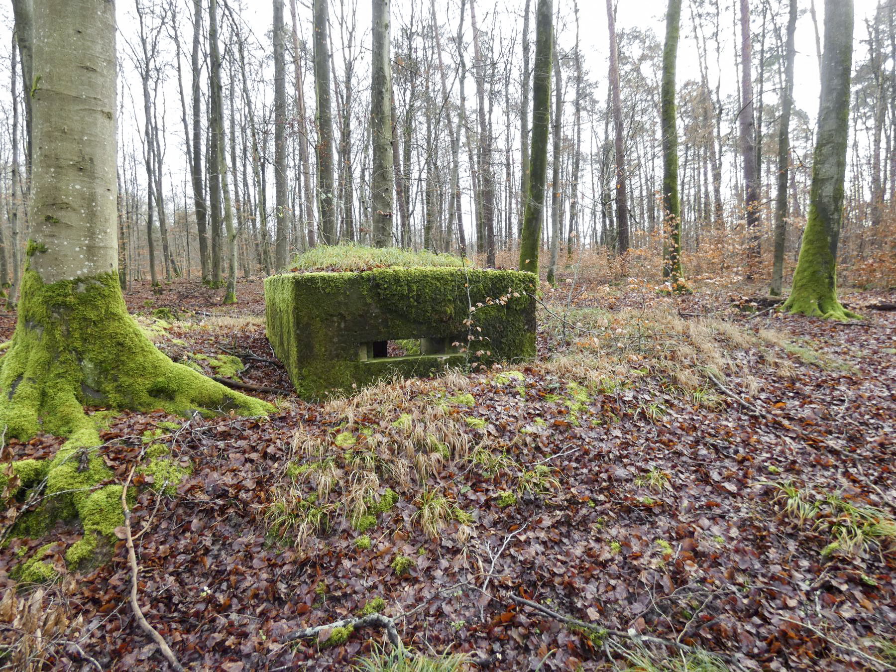 Ligne Maginot - HOLZSCHLAG 4 - (Blockhaus pour arme infanterie) - La façade de tir.