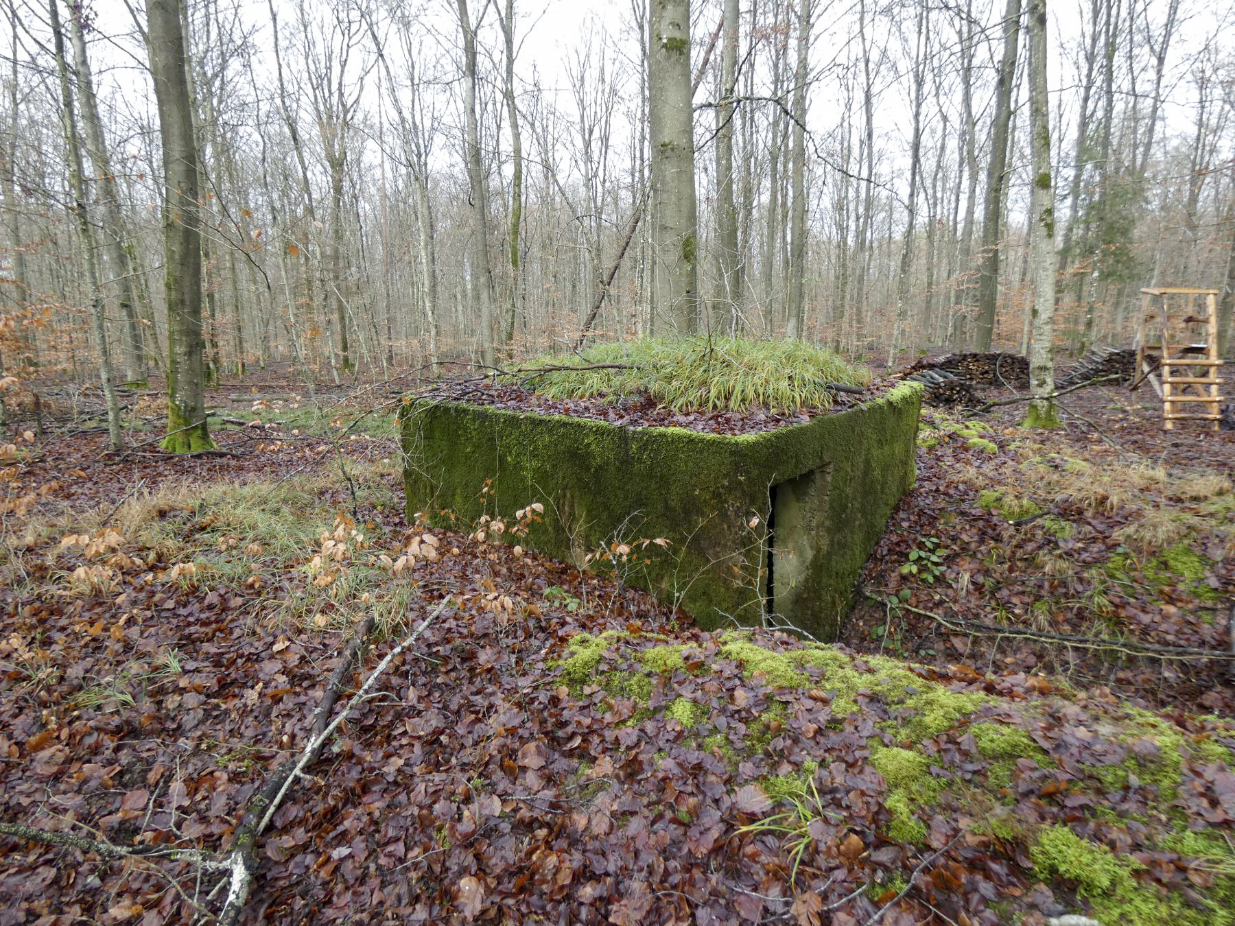Ligne Maginot - HOLZSCHLAG 4 - (Blockhaus pour arme infanterie) - La vue de l'arrière et l'entrée du blockhaus.