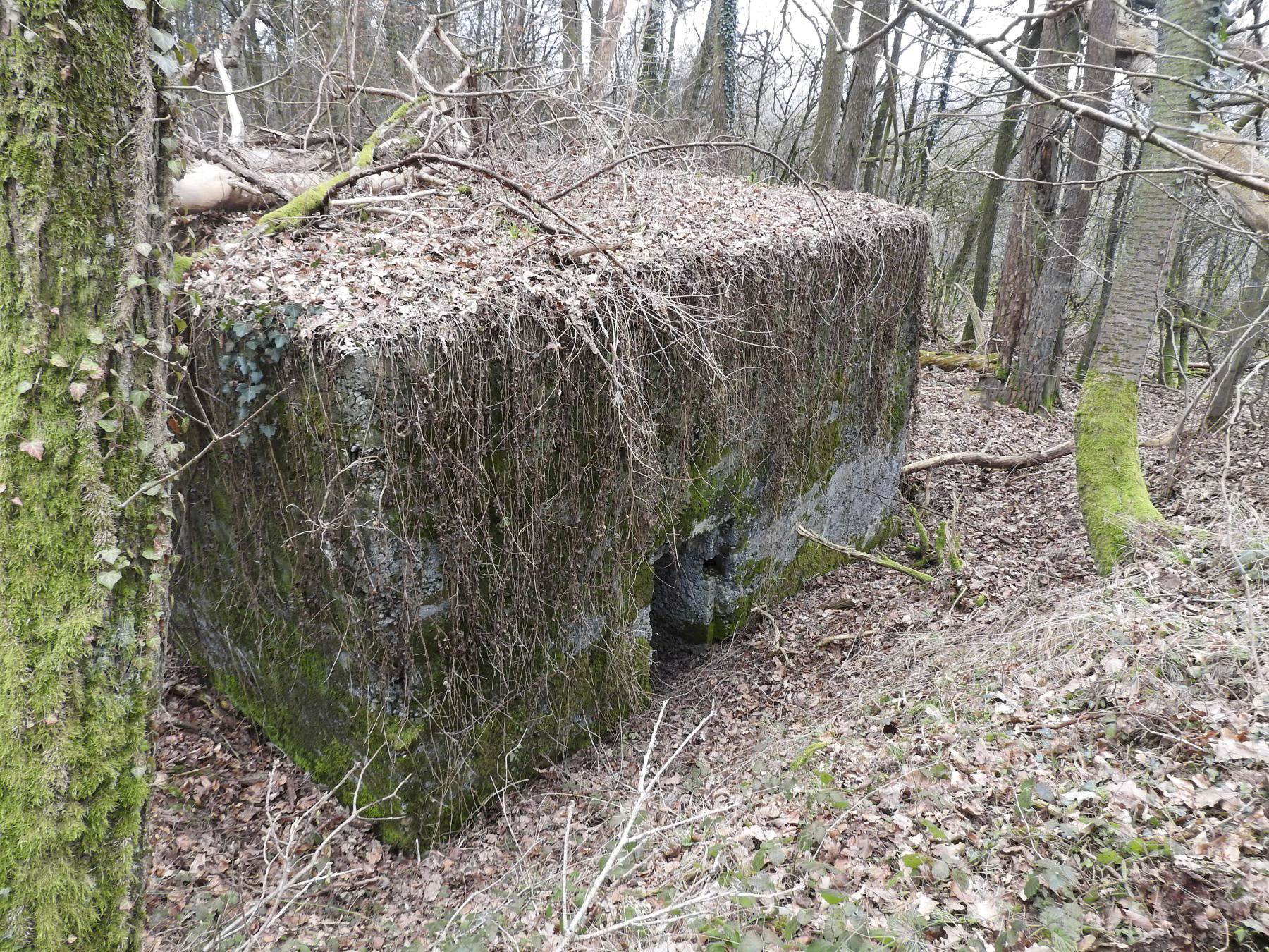 Ligne Maginot - BB310 - (Blockhaus pour arme infanterie) - L'entrée du blockhaus.