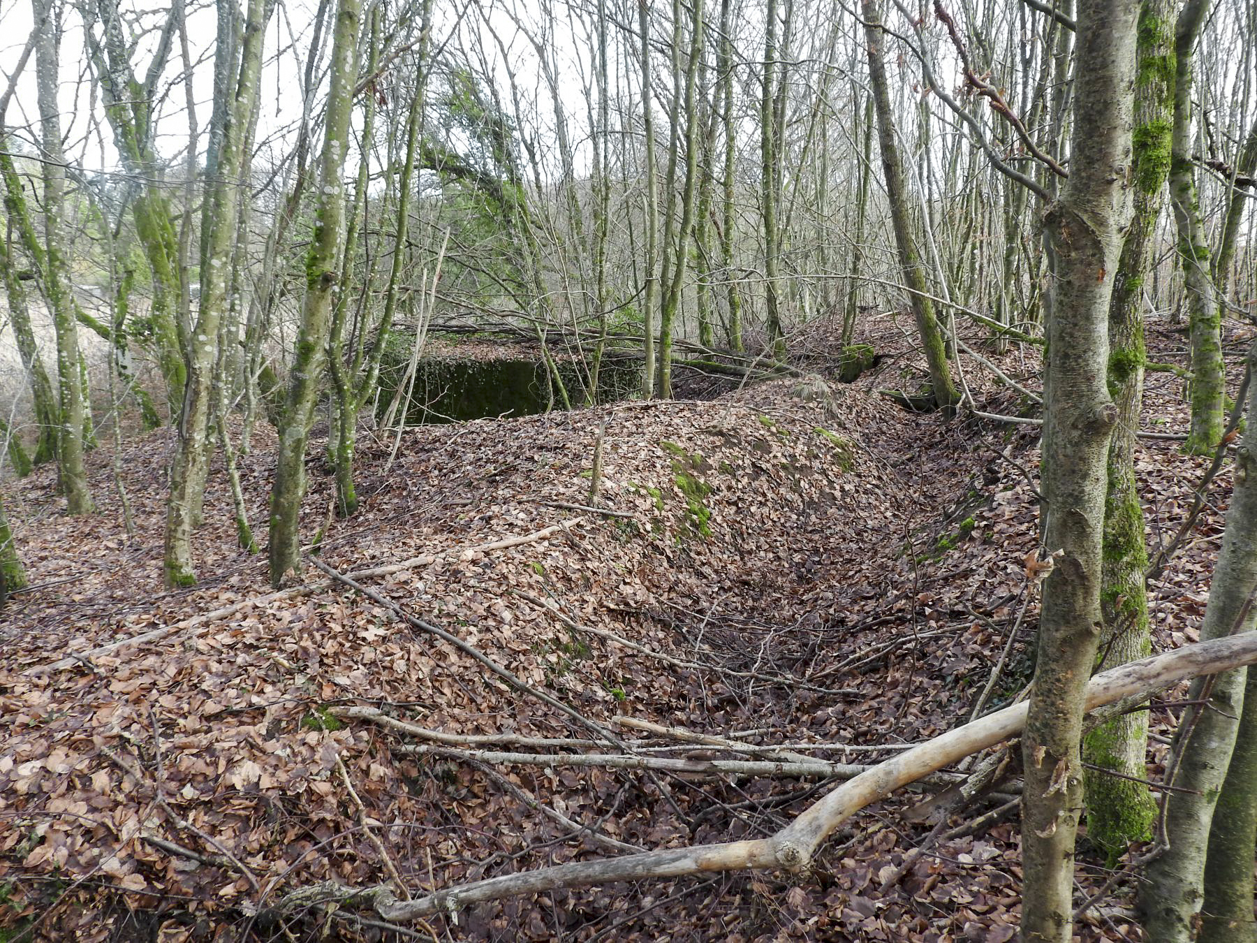 Ligne Maginot - BB312 - (Blockhaus pour arme infanterie) - Le blockhaus avec sa tranchée d'accès.