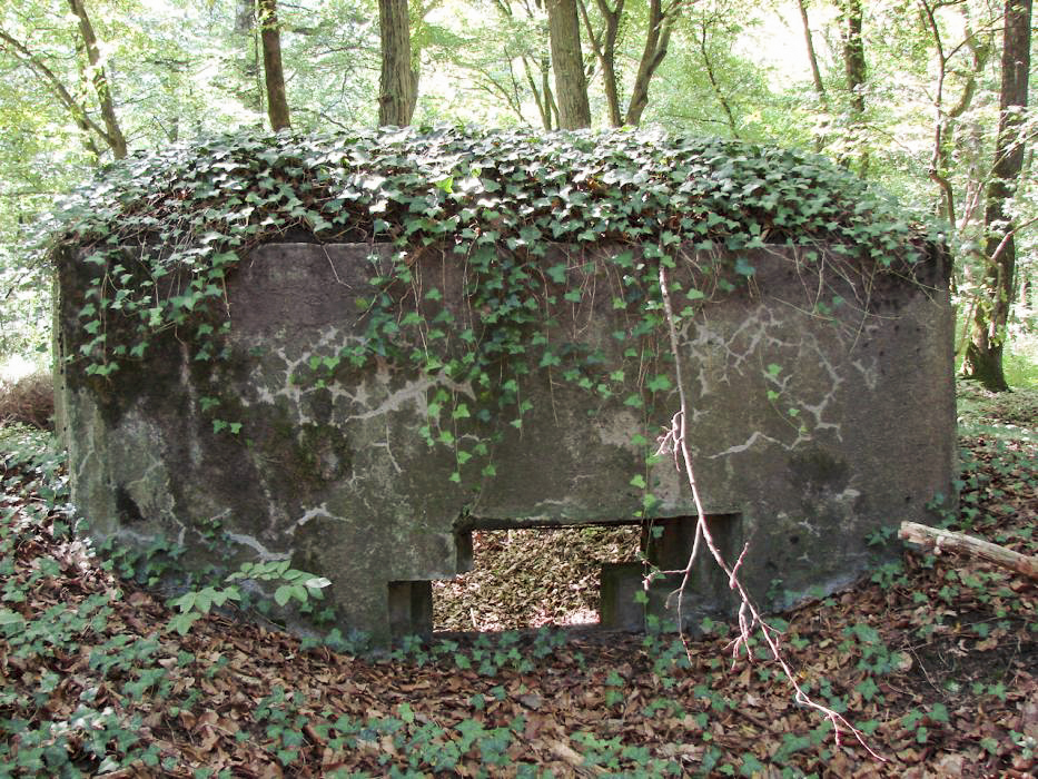 Ligne Maginot - BBO5 - BISCHENKLOPP - (Blockhaus pour canon) - 
