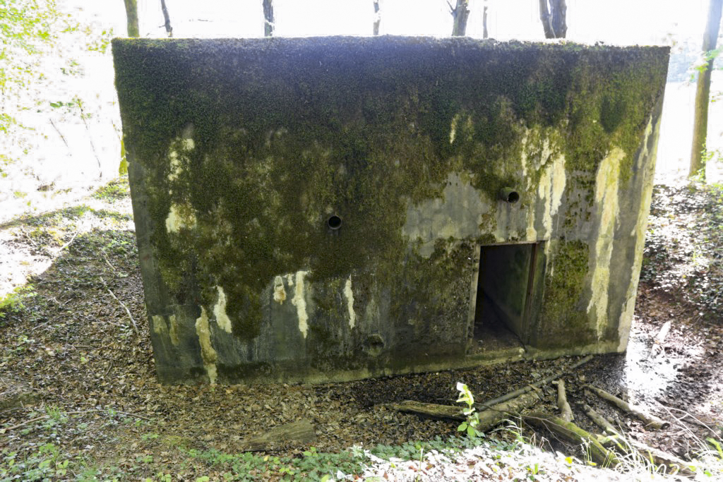 Ligne Maginot - HUBERBUSCH 3 - (Blockhaus pour arme infanterie) - 